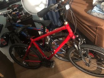 Giant bike