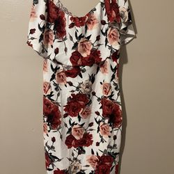 Women’s Dress, size 2X