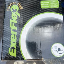 Exercise Ball