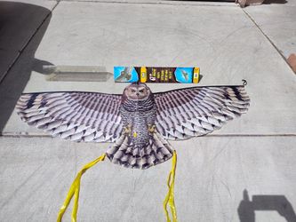 Kite Owl design