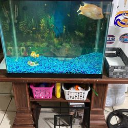 55 Gallon Tall Fish Tank, No Stand, No Fish for Sale in Fort Lauderdale, FL  - OfferUp