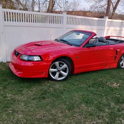 2001 Ford Mustang