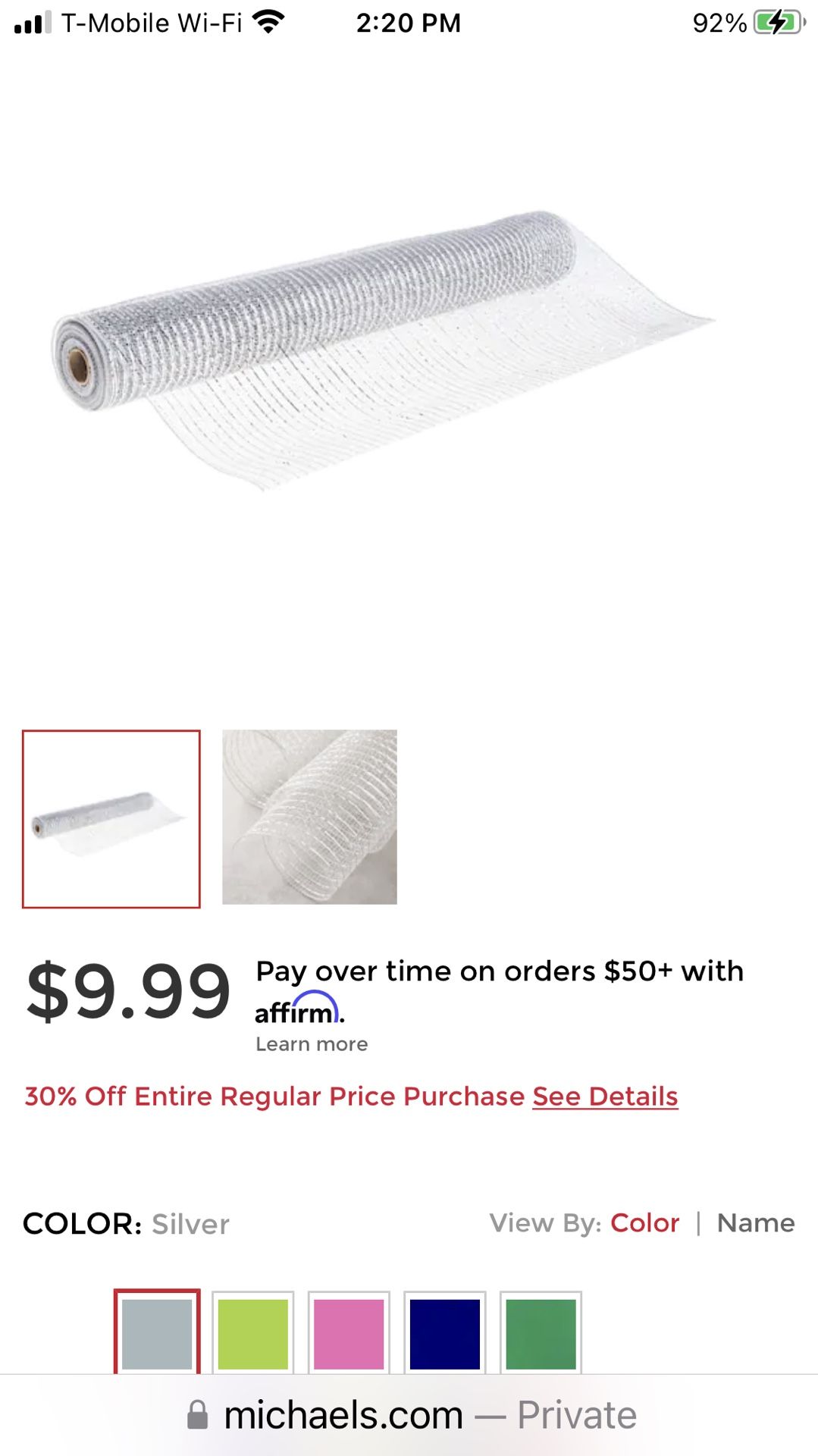 Silver Mesh Ribbon 21”W