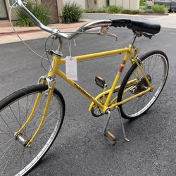 Vintage 1970s Schwinn Bicycle 
