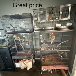 Ninfas, Conure Cage, Jaula