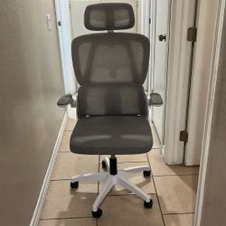 Ergonomic Office Chair
