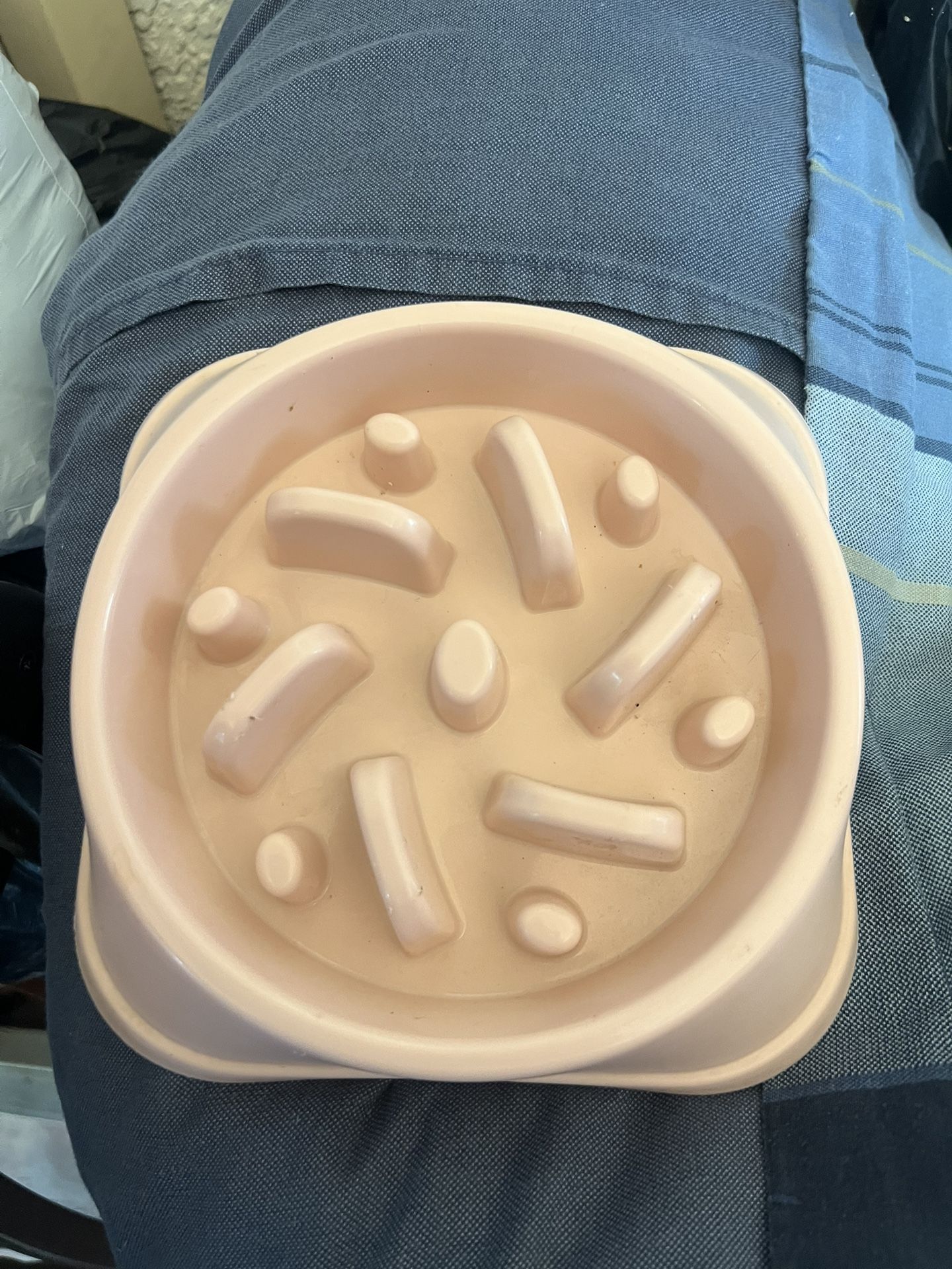 Dog Bowl Slow Feeder