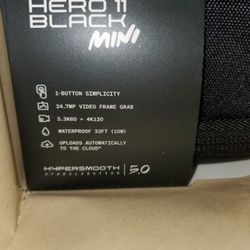 GoPro HERO11 Black Mini