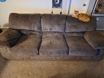 Used brown couch- cat not included
