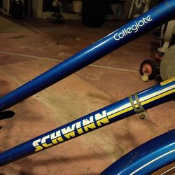 Schwinn  Collegiale