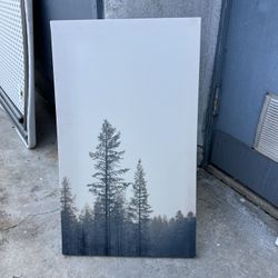 Trees And Blue Sky Canvas Print 16x22”