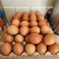 Huevos