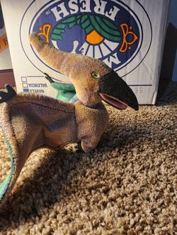 Beanie babies