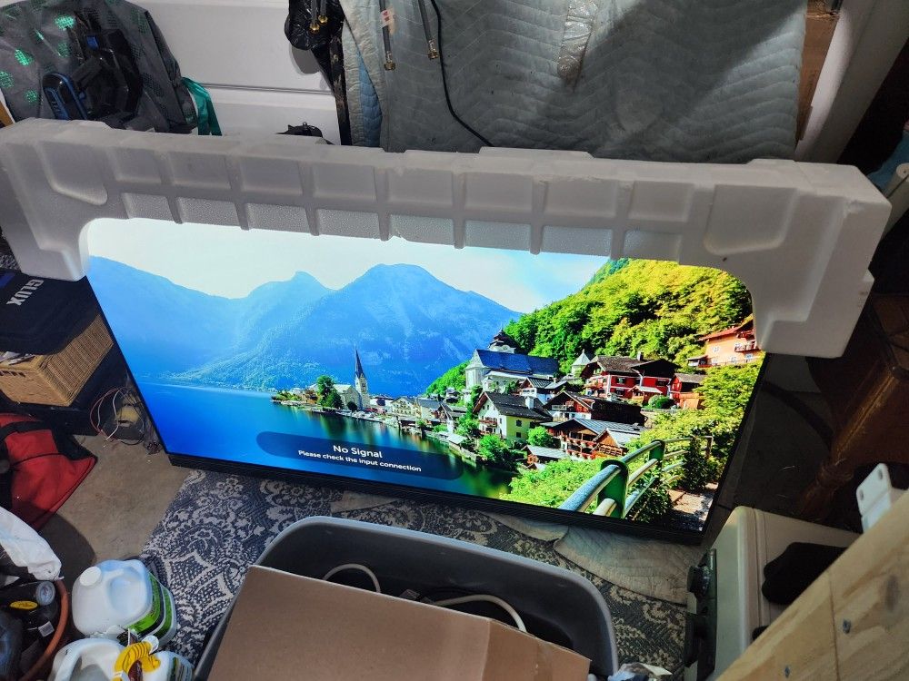 65" LG Oled 65E69