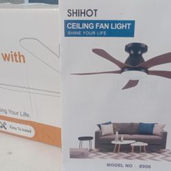 42" Ceiling Fan 