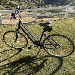 Giant Liv Flourish Bike – Like New – Barely Used