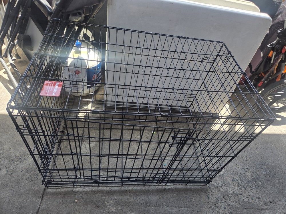 Cage Dog