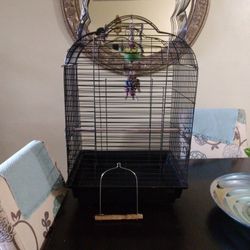 Bird Cage 
