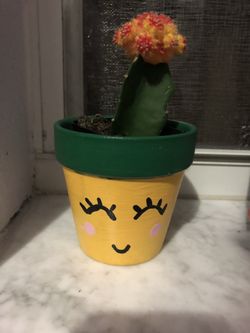 mini flower pot