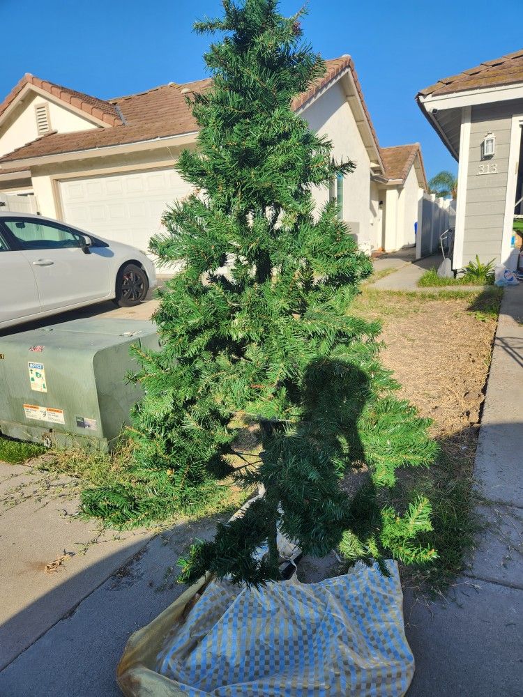 Christmas Tree