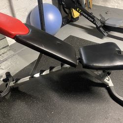 Bowflex Adjustable Workout Bench