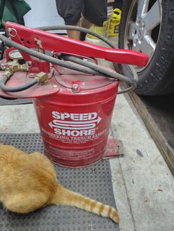5 gallon speed shore