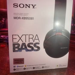 Sony Headphones 