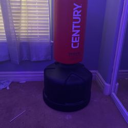 Century Boxing Bag 