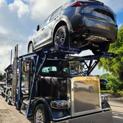 Are You In Need Of Vehicle Transport? Or Others?