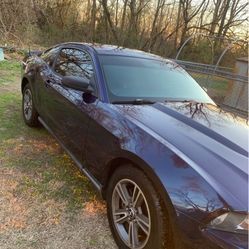 2010 Ford Mustang