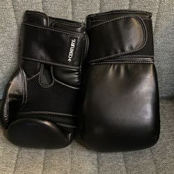 Century Boxing Gloves 