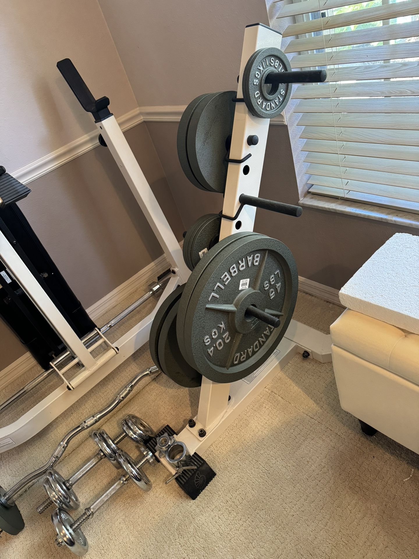Olympic Standard Weights ,  Nautilus Bench , Weight Rack 