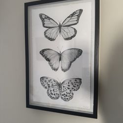 Butterfly art