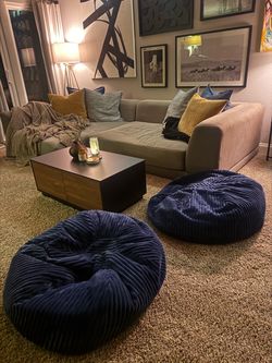 2 Blue Bean Bags