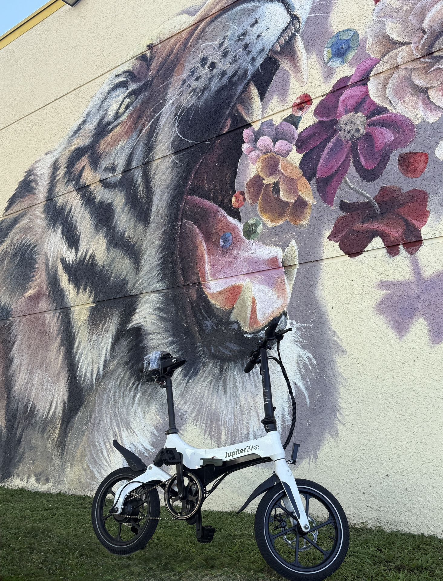 Electric Bike Jupiter
