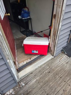 Cooler