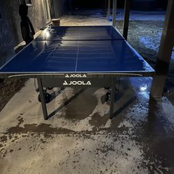 Ping Pong Table