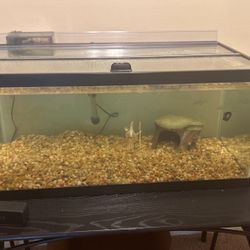 40 Gallon Fish Tank Hardly Used 
