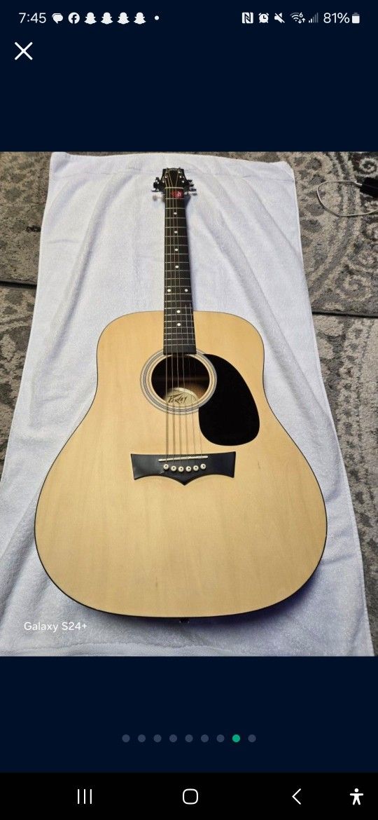 Peavy Guitar