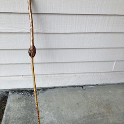 Walking Stick