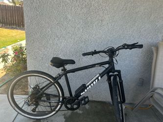 ebike
