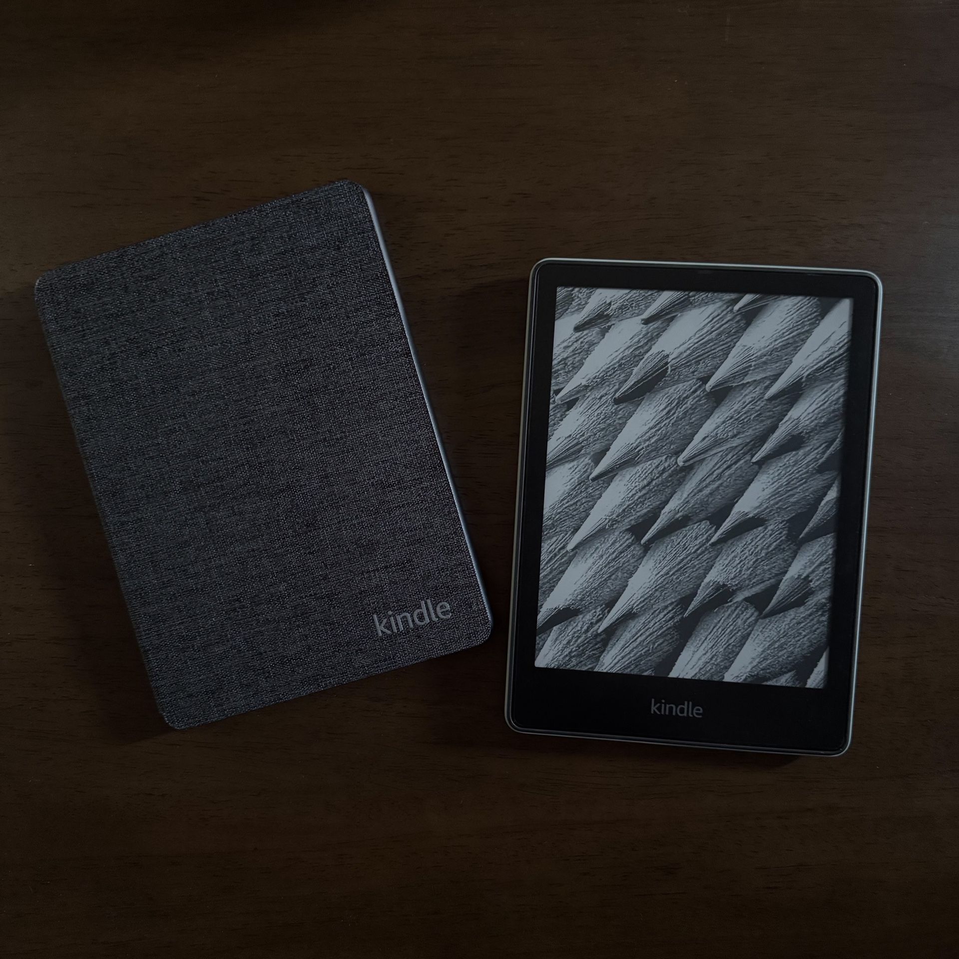 kindle paperwhite signature edition 11th gen — agave green with new case