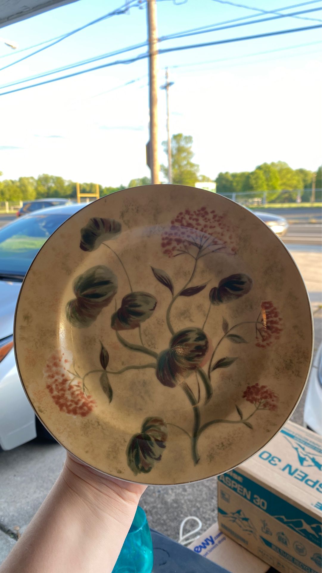 2 Asian Antique Genuine Stoneware decorative plate