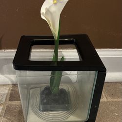 Small Fish Tank /Aquarium  ( Pls read description )