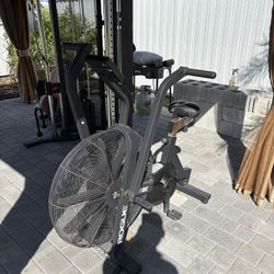 Rogue Echo Air Bike V2