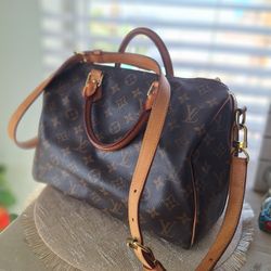 Louis Vuitton Monogram Speedy 30