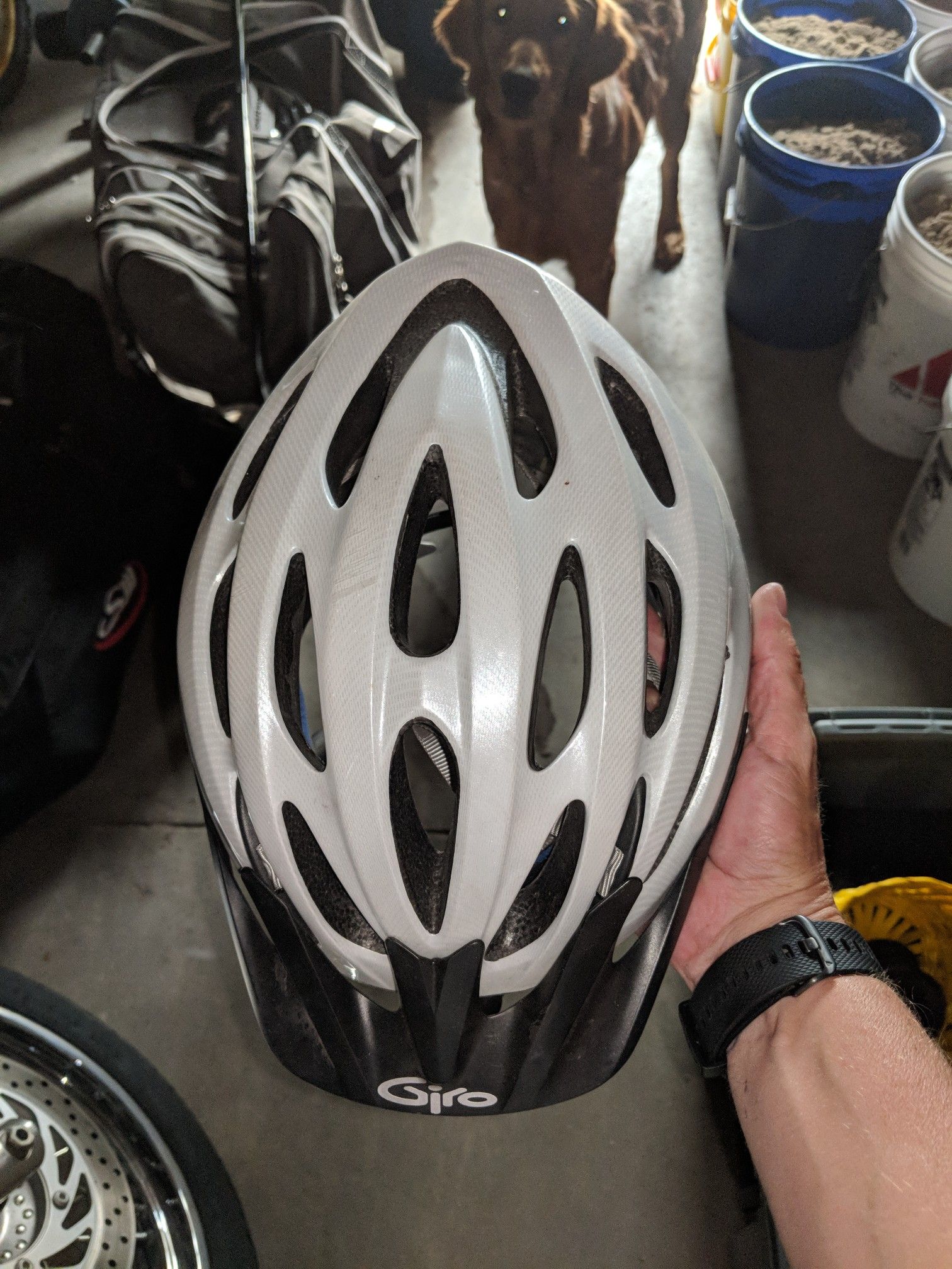 Women's bike helmet