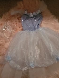 Princess dress or Halloween costume