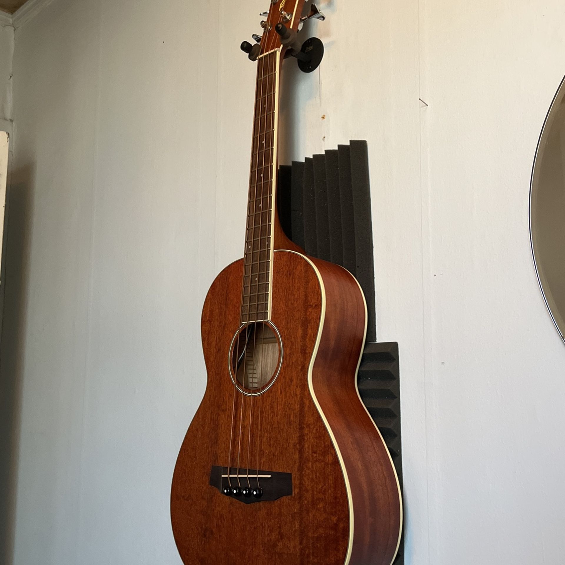 Ibanez Acoustic Electric Bass