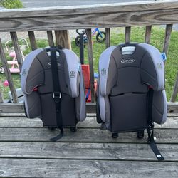 Toddler Carseat 